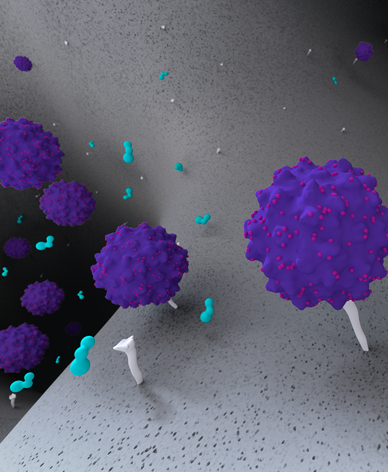 AAV Adeno Associated Virus - Monolith